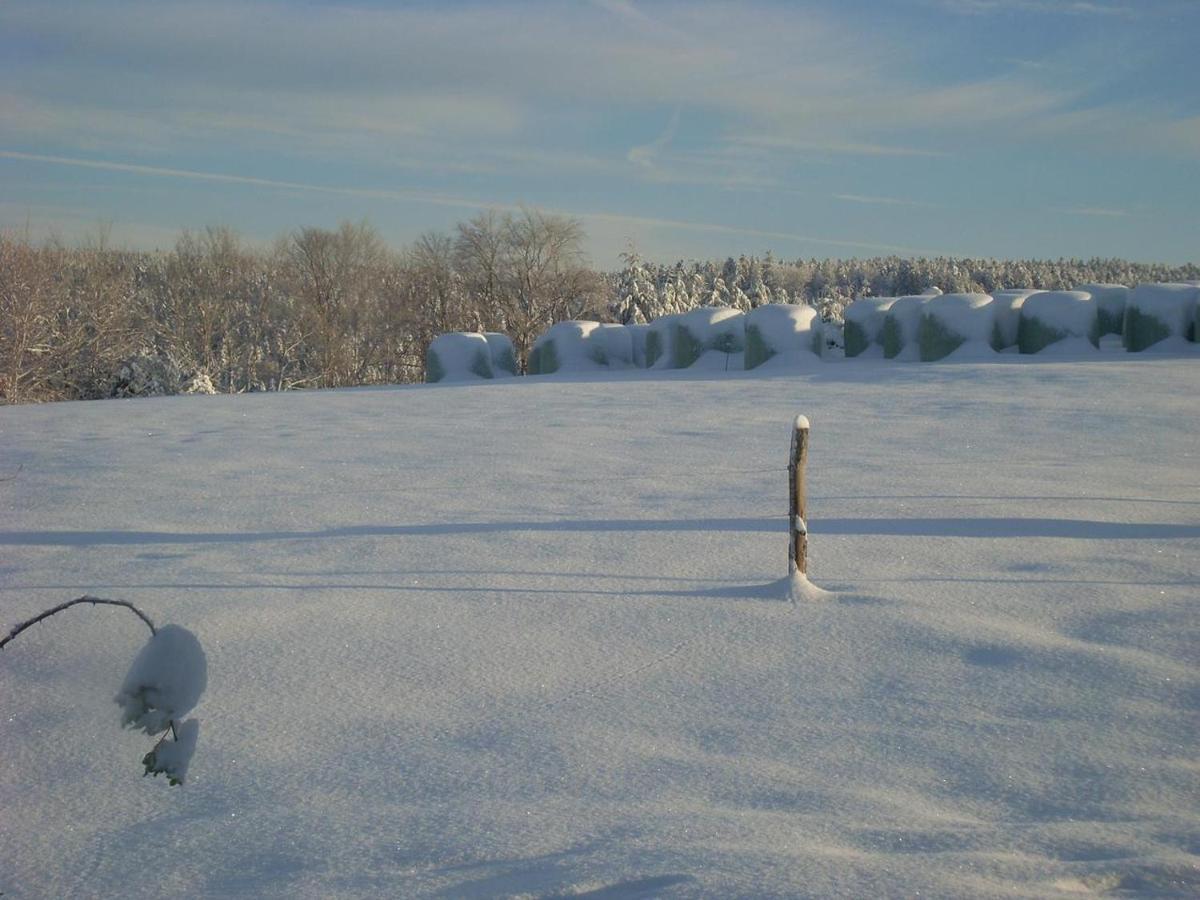 Location Vacances Des 4 Vents Girmont-Val-dʼAjol Dış mekan fotoğraf